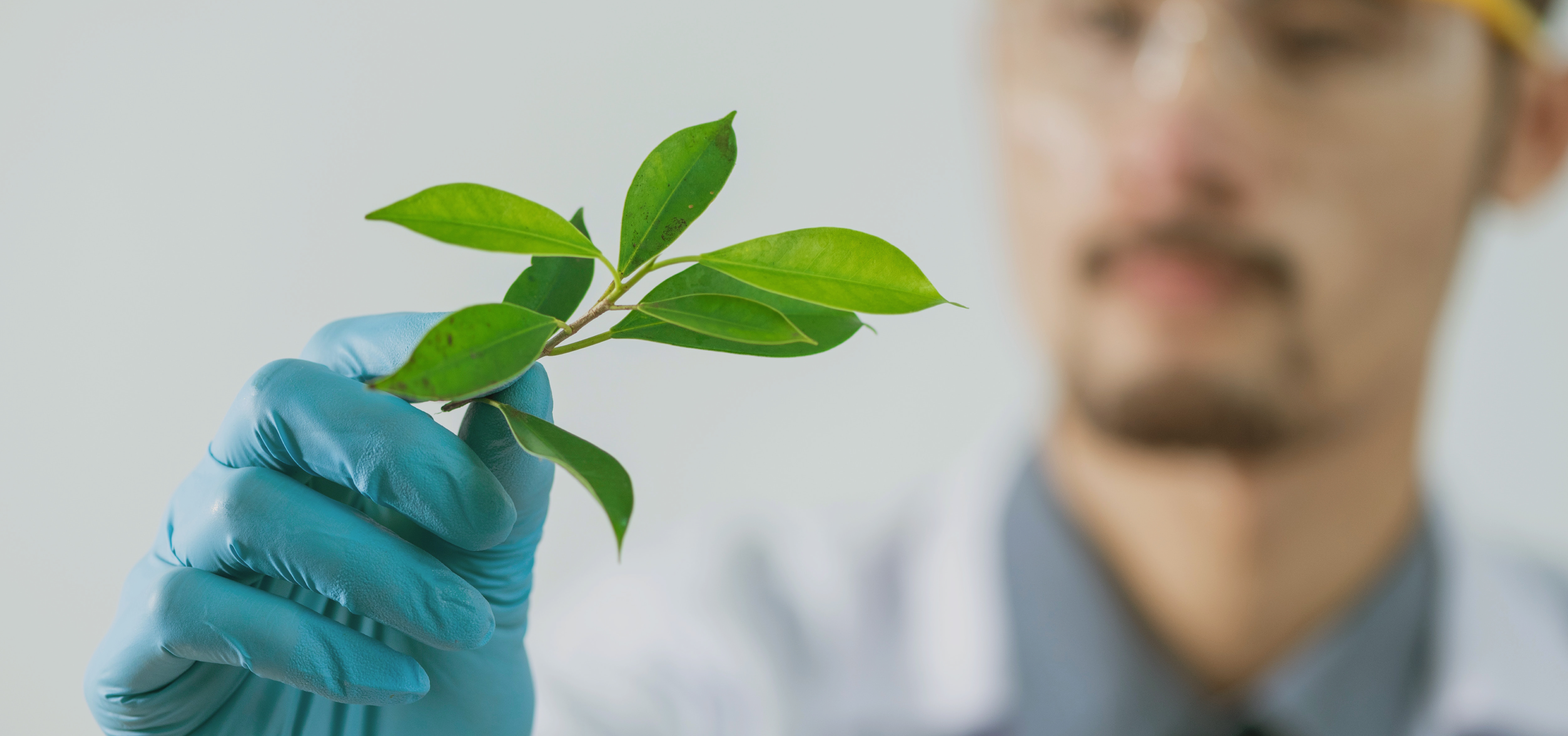 El lado científico de la medicina natural