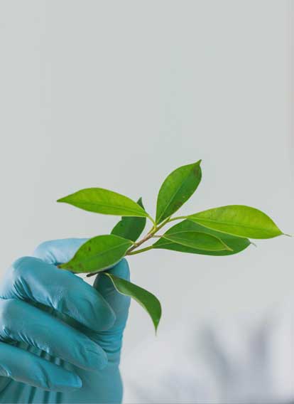 El lado científico de la medicina natural